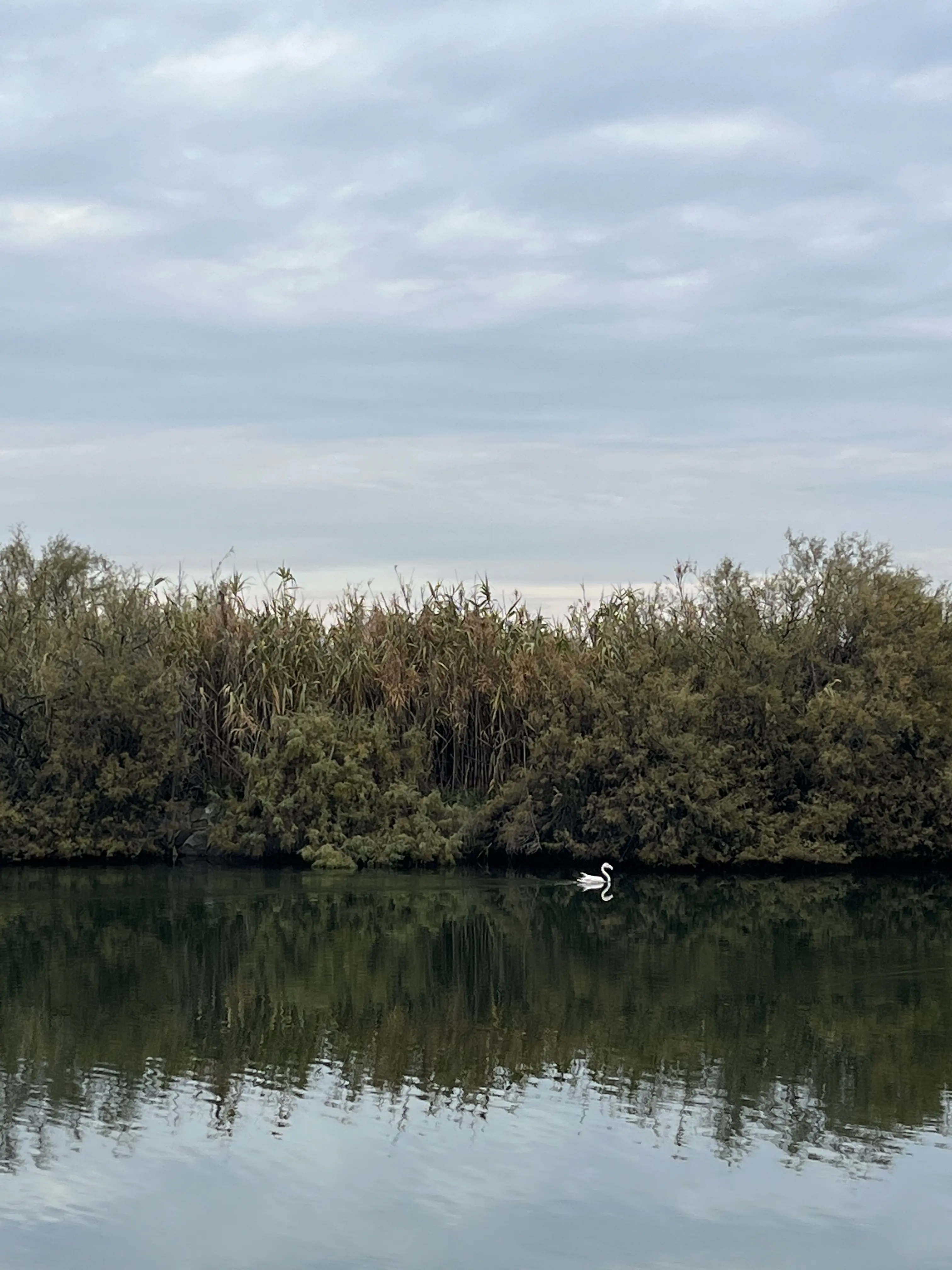 Valle AMA Project banner